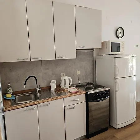 Apartment Roing S *