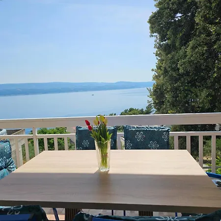 Apartament Roing S *