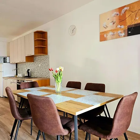 Roing S Apartament Stanici