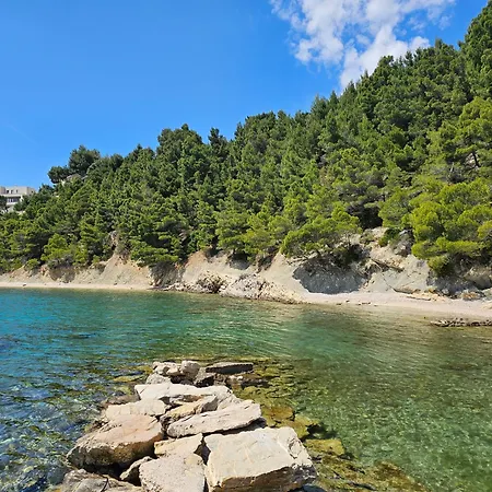 Roing S Apartament Stanici
